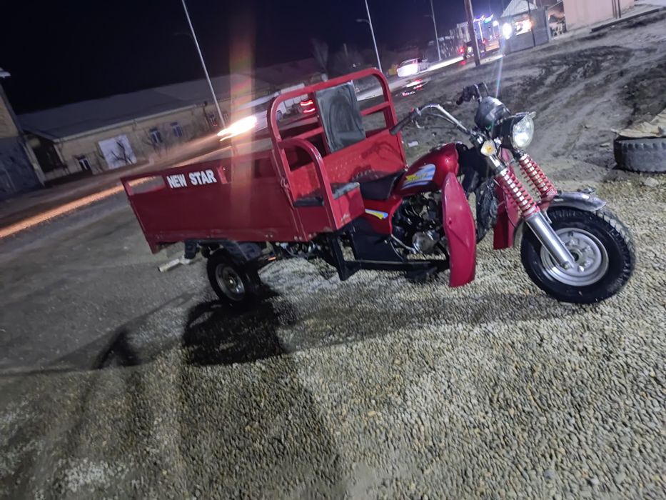 Matarul New star 2022