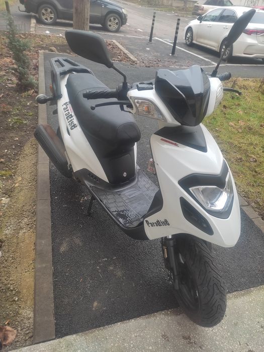 Generic Paradis de 49cm