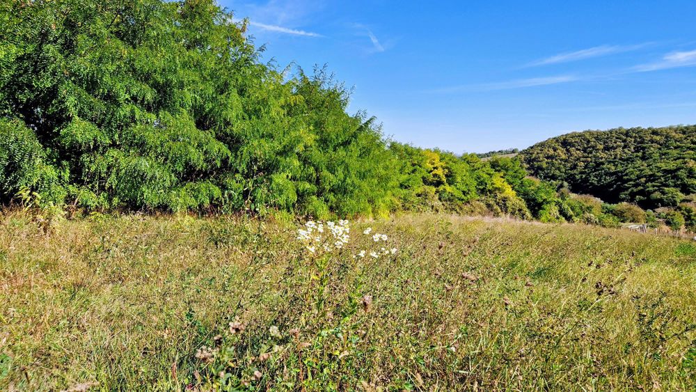 Teren 3826 mp în sat Moldovenești