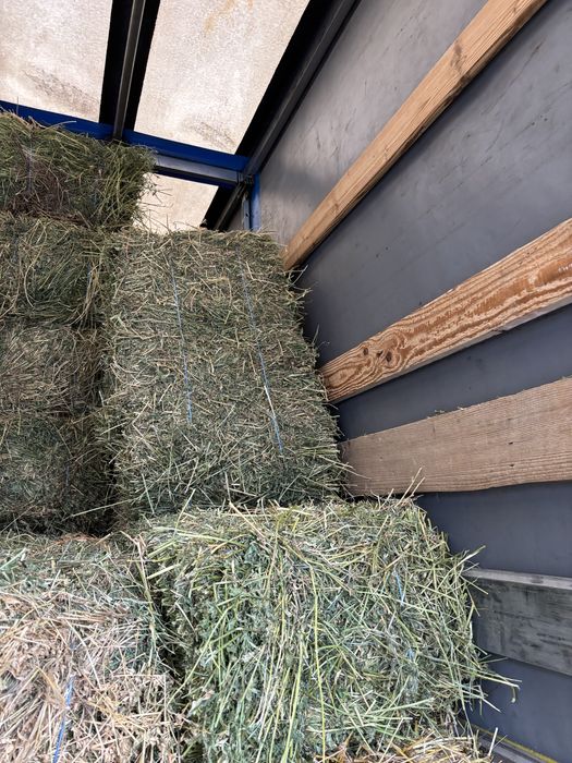 Baloti lucerna dreptunghiulari