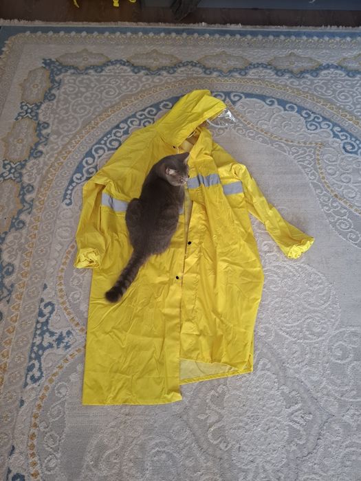 Продаю дождевики