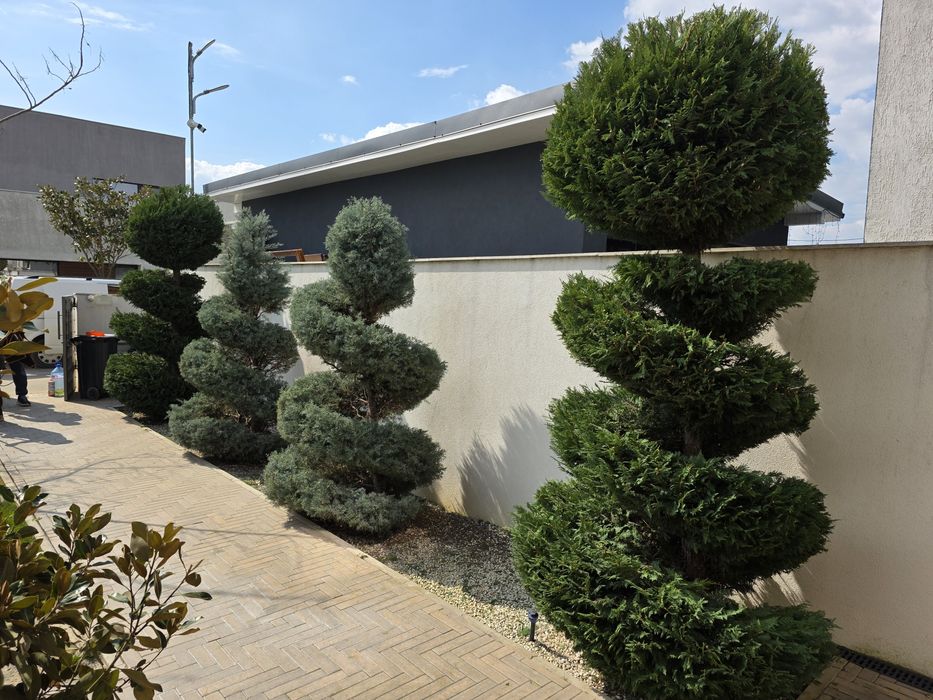 Amenajări & Întreținere Grădini Craiova, Gazon,Sisteme irigatii