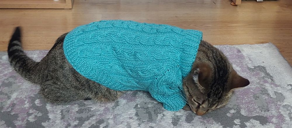 Haine tricotate pentru căței sau pisici