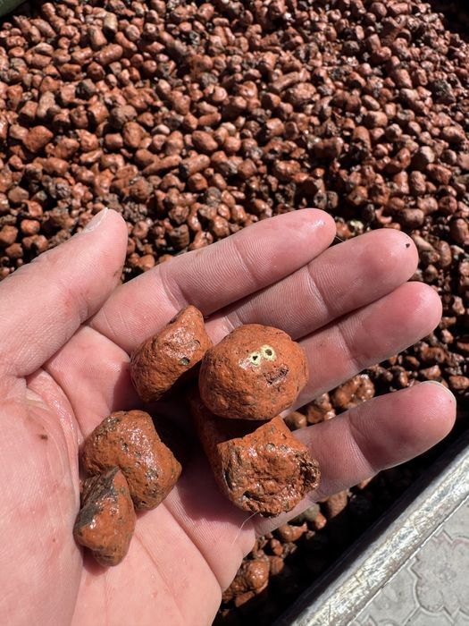 AKSIYA KERAMZIT  barcha fraksiya