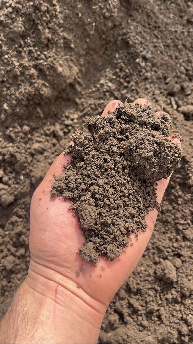 Чернозём так же доставка.