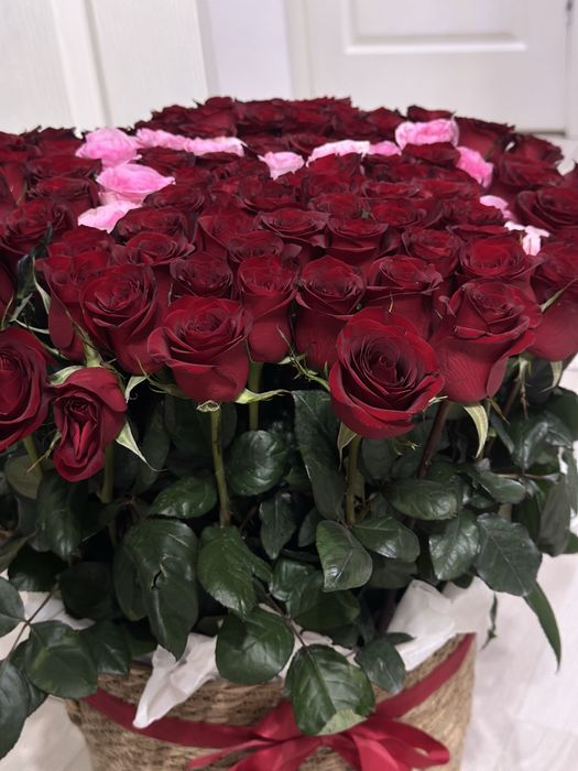 101 роза свежий