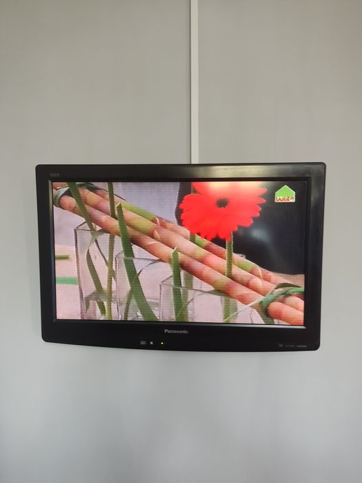 Panasonic TX-LR22×20
