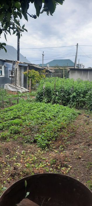 Продам дом район парк Кирова