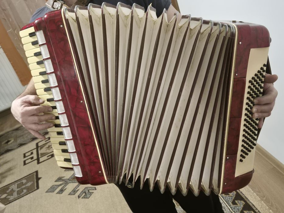 Vand Acordeon Parrot