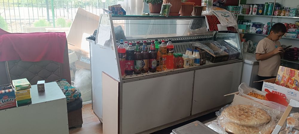 Vitirina xoladelnik muzaltgich