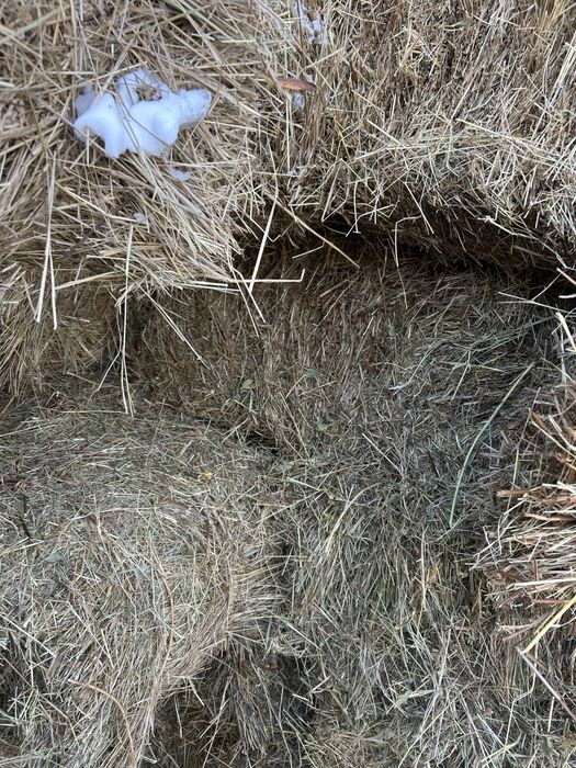 Продается сено в тюках