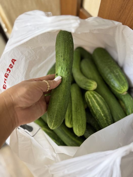 Дачная продукция