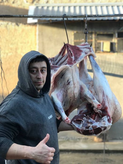 Qoy gosht bor trik qoylani 87000 somdan soyib beramiz trik vazniga
