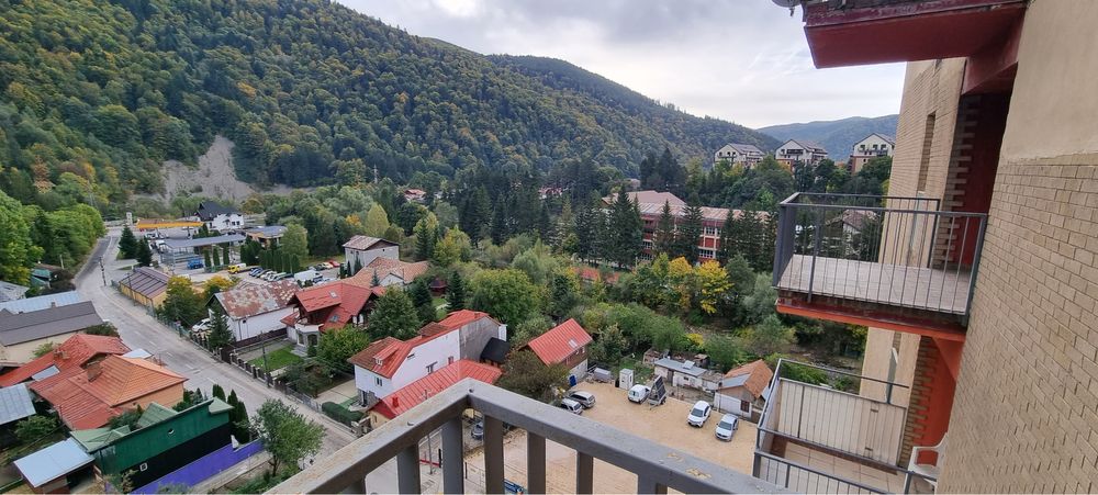 Studio de inchiriat Belleview