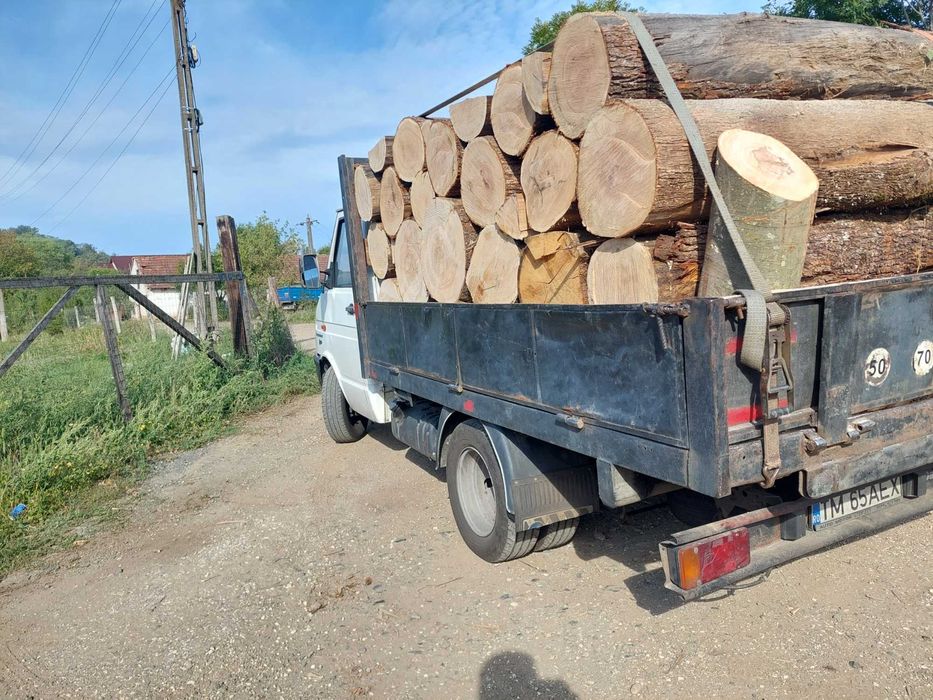 Lemne de foc timis esența tare