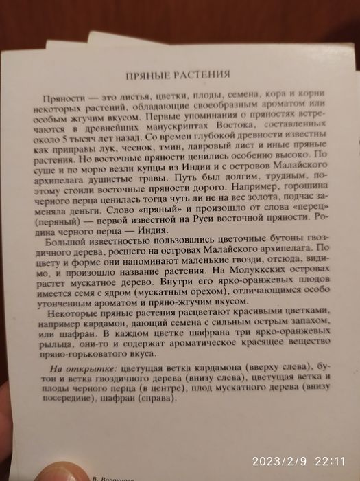 Удивительные растения. 32 открытки.