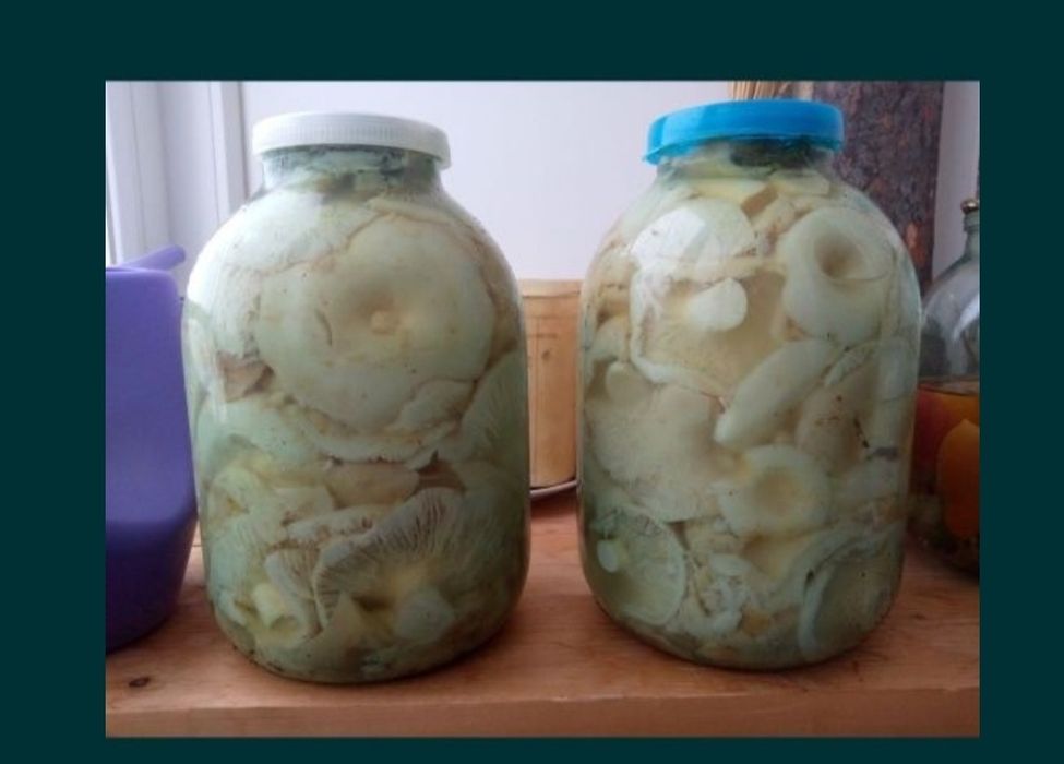 Грибы маринованные ,урожай 2025г