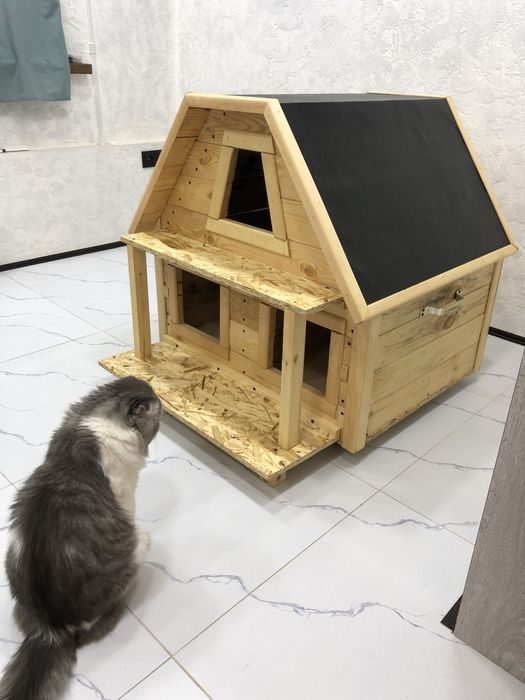 Домик для кошек !