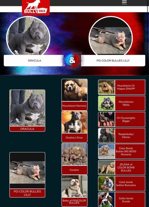 Американско були