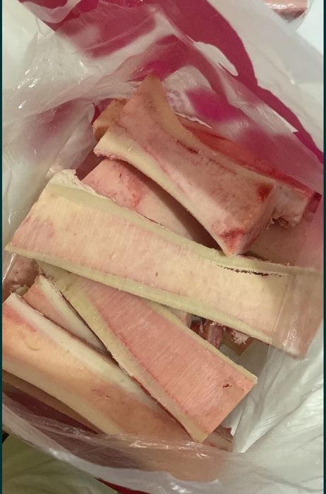 Жілік сүйек/Сахарная кость