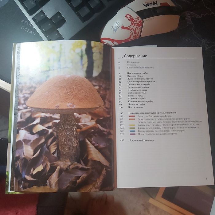 Продам новую книгу