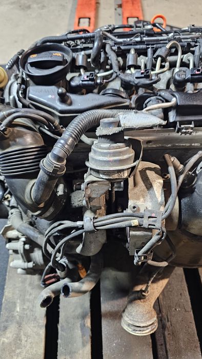 Motor 1.6tdi cay / cayc Volkswagen Golf 6 / Jetta /Passat B6 B7 / Touran / Caddy / Seat Leon / Audi A3 / Skoda Octavia / Fabia