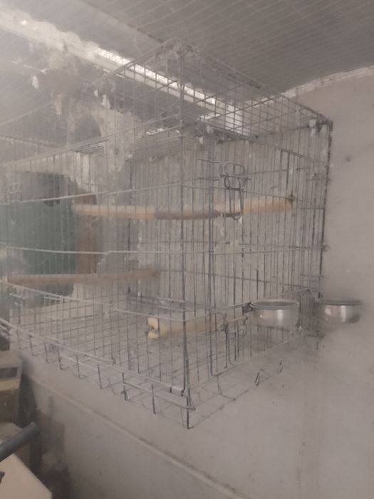 Клетки за средни папагали