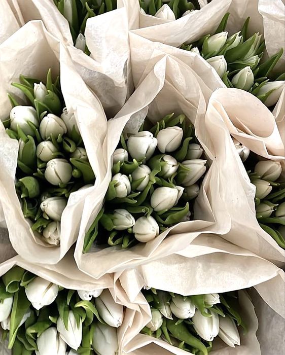 Свежие Тюльпаны-Голландия,Костанай