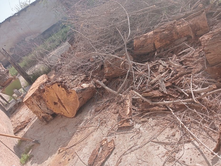 Кунда ва утинлар сотилади