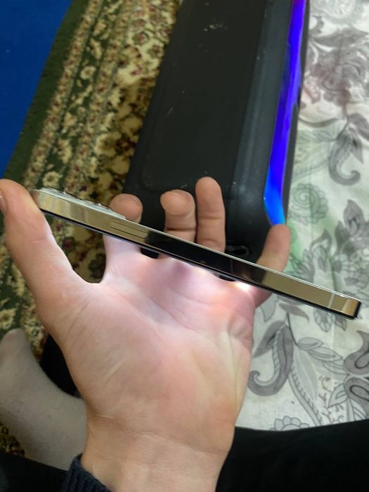 13 про макс сатылады