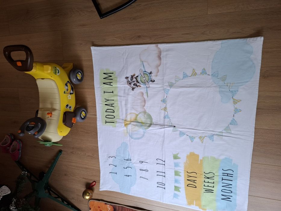 Paturica aniversara Aviator