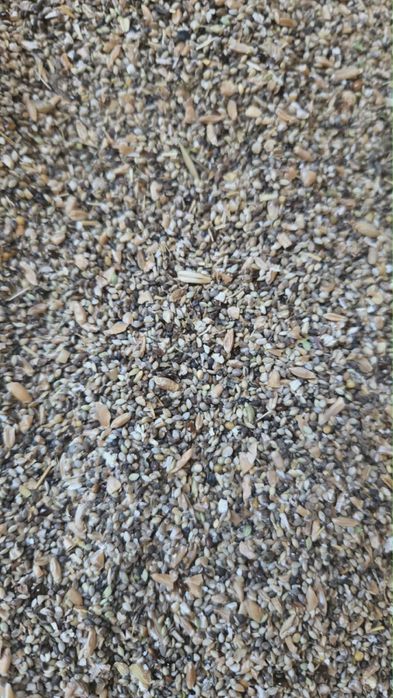 Продам сечку пшеницы