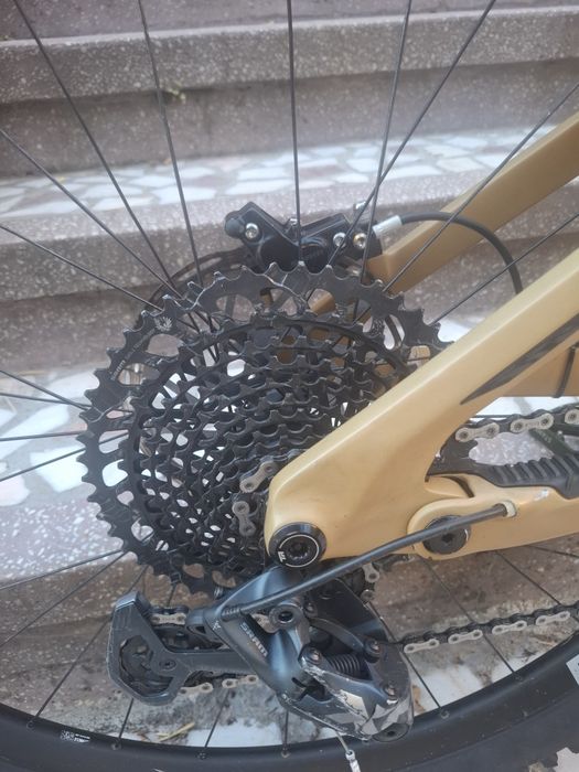 Transition Sentinel Carbon