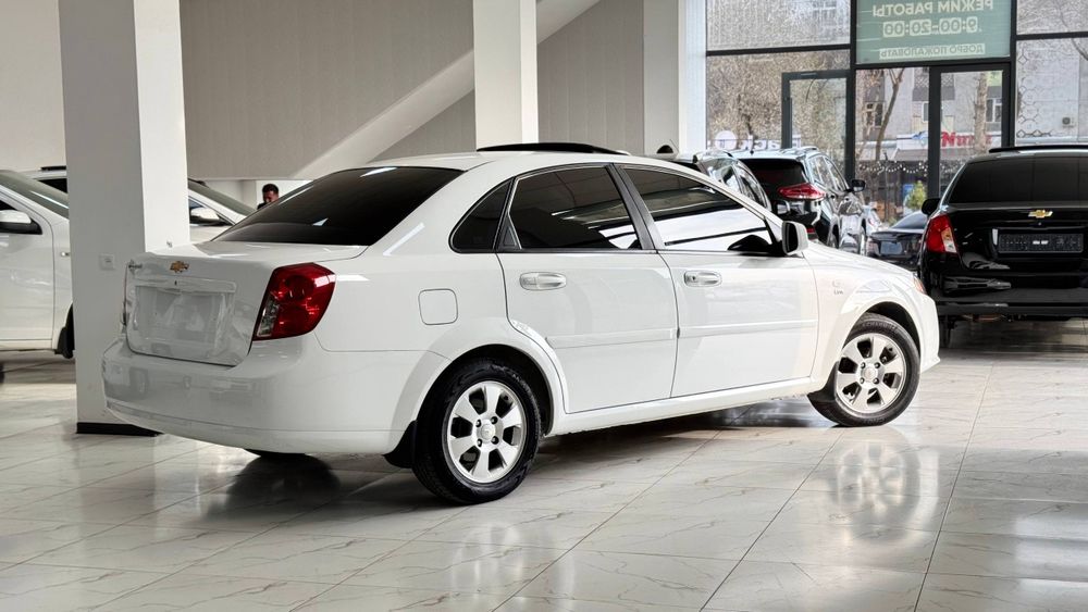 Gentra Jentra Жентра фул позиция