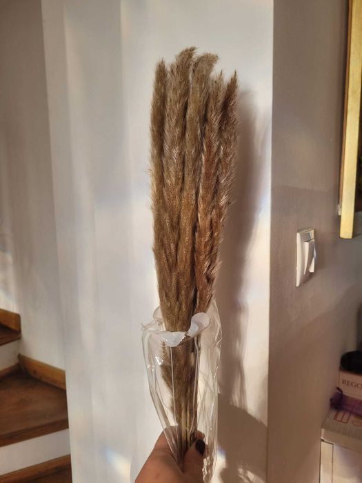 15 Plante de Pampas Uscate Flori Decoratiuni Casa Nunta Interior