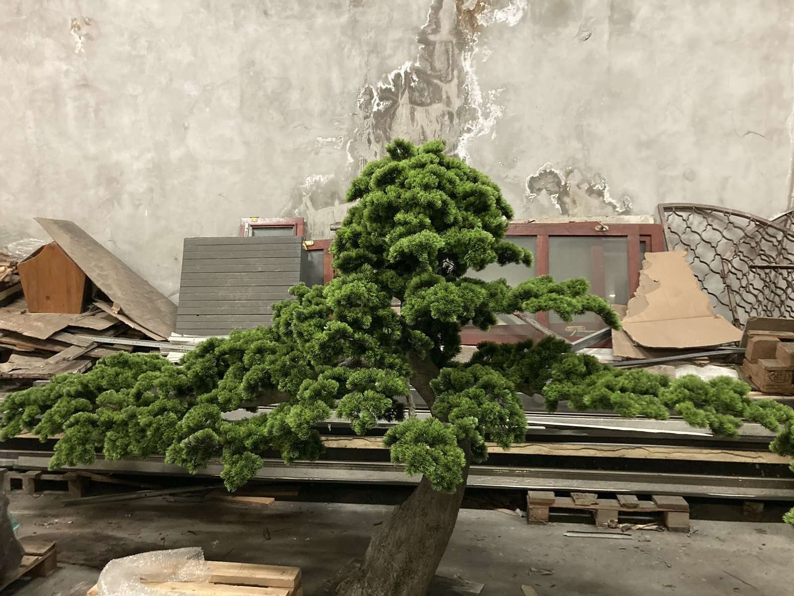 Бонсай, изкуствени дръвчета. Разглобяват се. гр. Хасково Младежки хълм ...