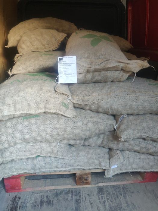 Семе Картофи СОРАЯ клас А