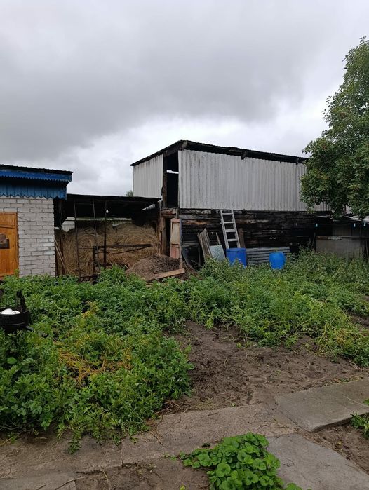 Продам два дома на одном участке