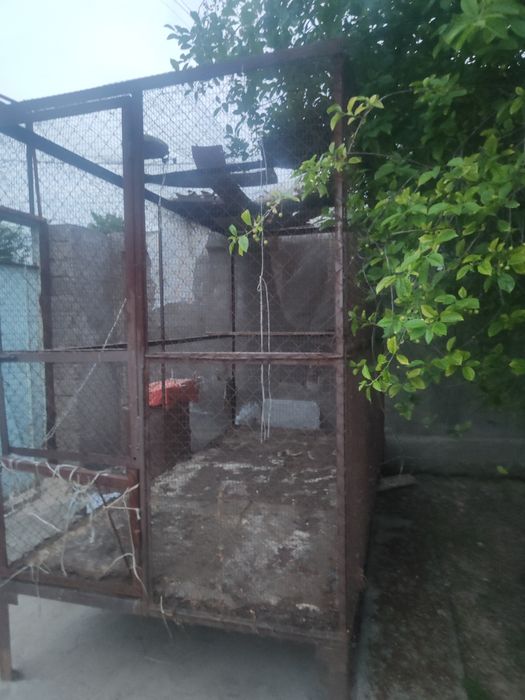 Qafas qushlar tovuqlar uchun