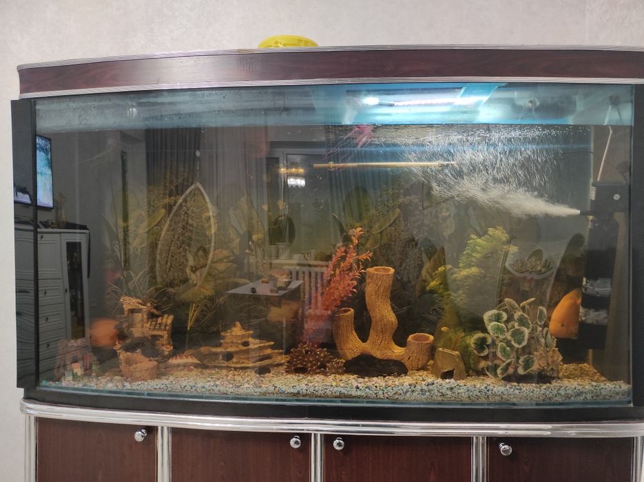 Продам аквариум 600 литров