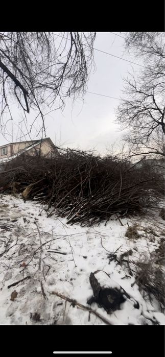 Отдам бесплатно дрова/хворост