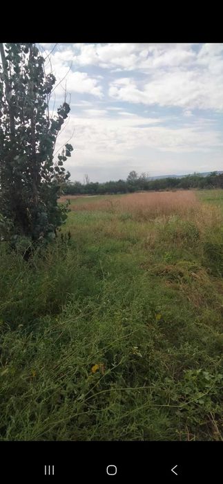Teren intravilan Campineanca