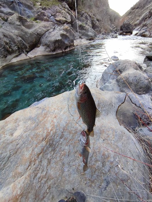 Походы индивидуальные и рыболовные туры по горам Узбекистан