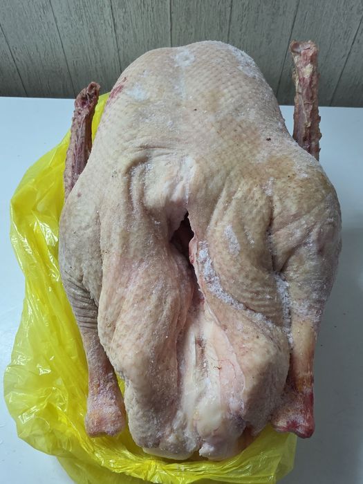 Продам мясо гусей