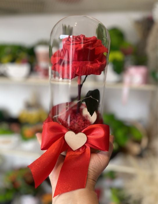 Trandafiri criogenati Cluj