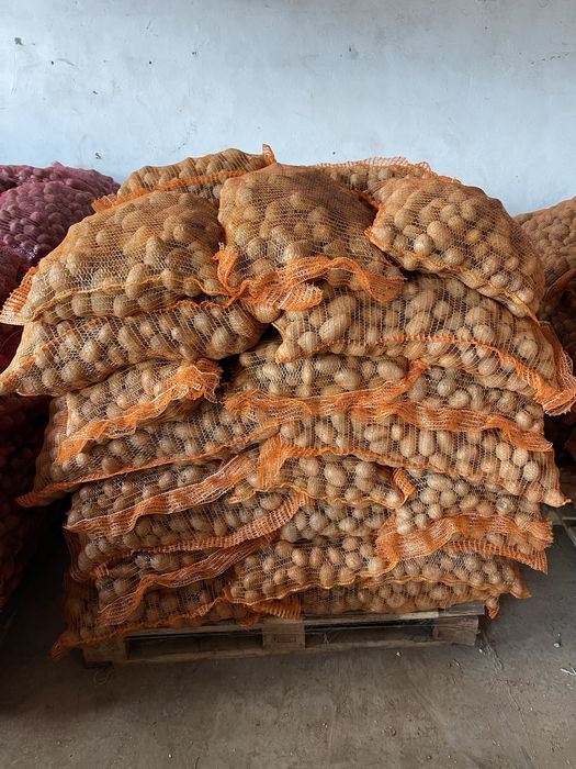 Cartofi consum si animale