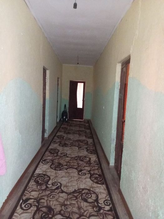 Uy egasi proektni extiro qilgan kotij