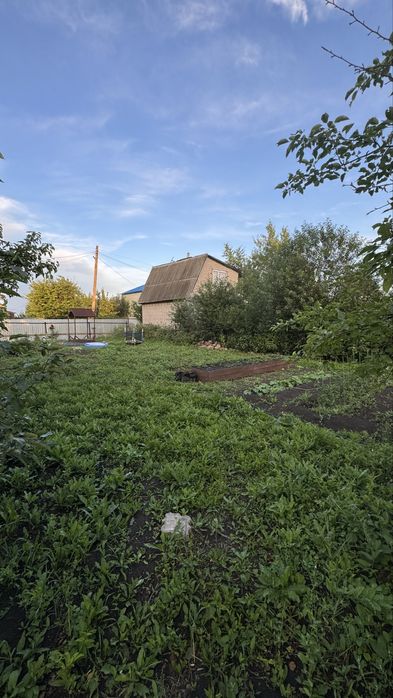 Дача в сообществе Ромашка. Дача в Ромашке