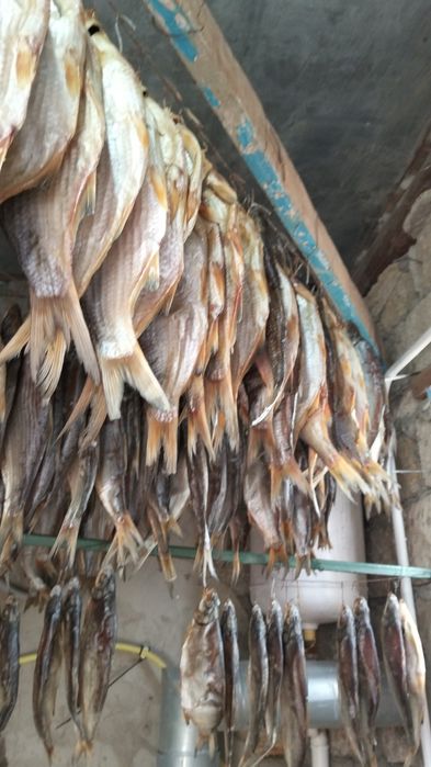 Рыбы сушеный рыбец