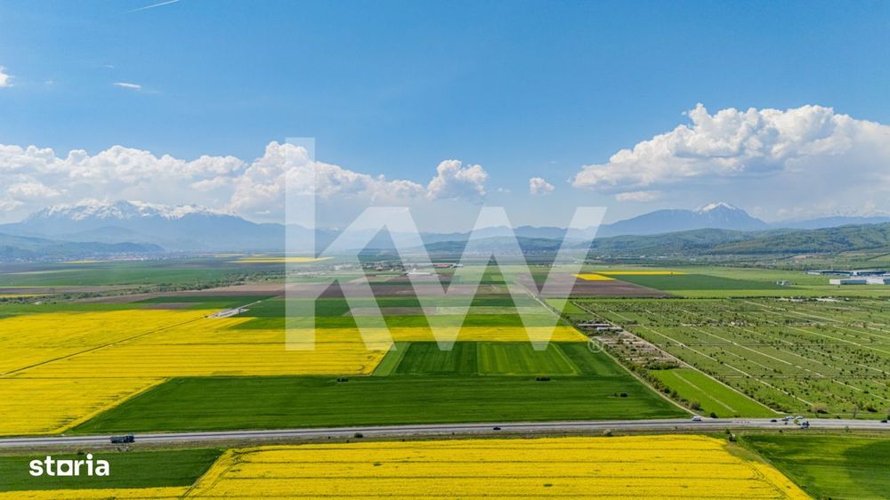 Teren 10.600 mp in Codlea – ideal pentru investitie industriala